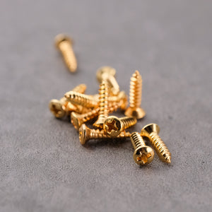 Pickguard Mounting Screws (for Fender) - Gold