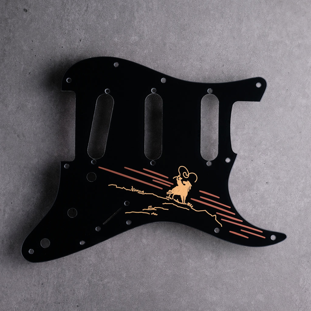 THE RIDER - Stratocaster Pickguard - in Black